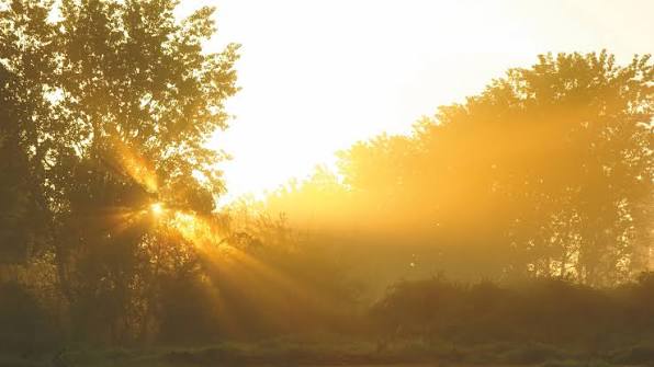 How Does the Sun Affect Your Cholesterol A Hidden Pathway to Heart Health